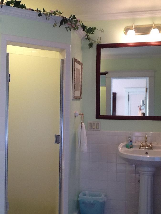 Scarlett House Victorian B & B Janesville Bagian luar foto